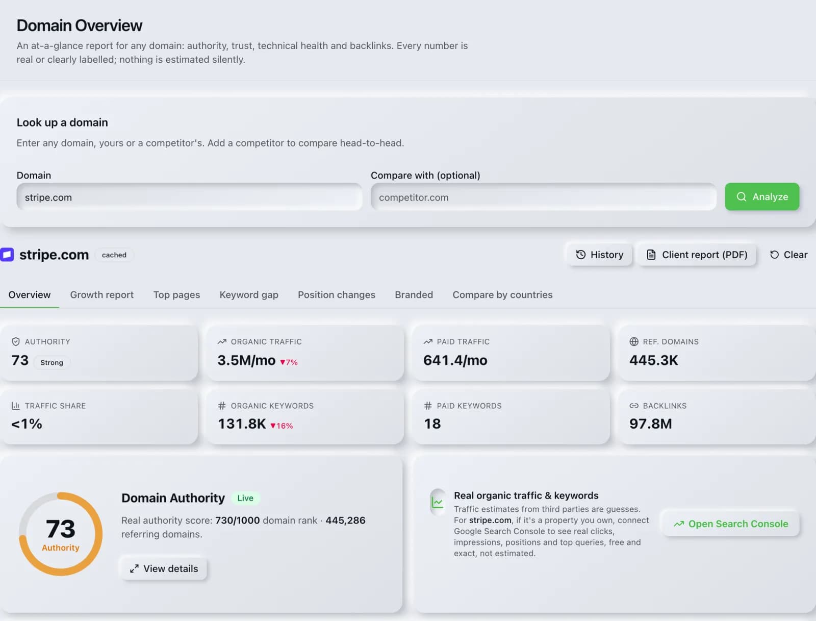 The Domain Overview tool in the SEO Roger dashboard, showing a completed run with real results.